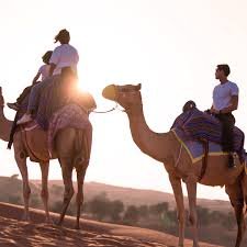 Ride a camel through he majestic desert dunes