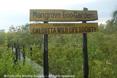 Mangrove Eco Garden